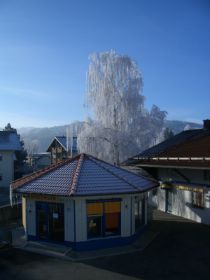 Foto II 034.jpg